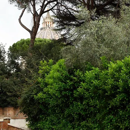Appartamento Magnoliahome Cupola Di San Pietro *